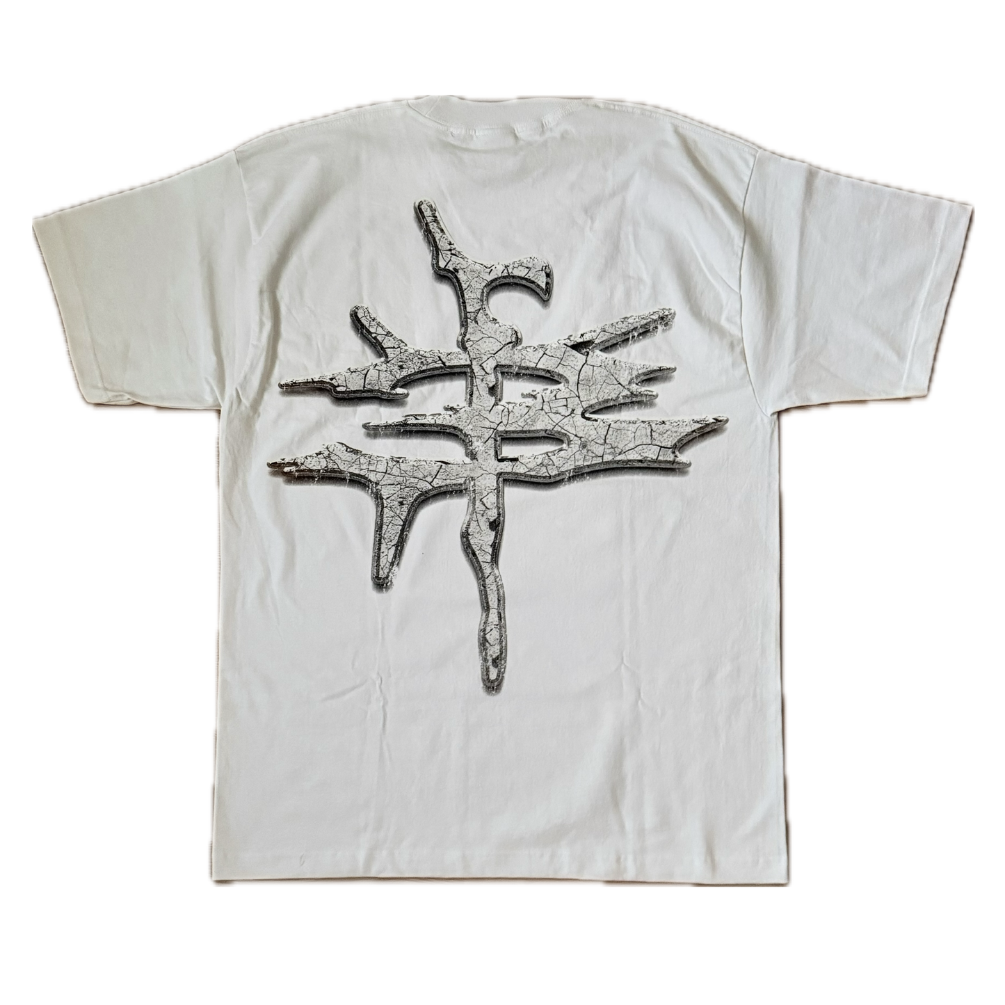 THEM JESUS CHRIST SHIRT